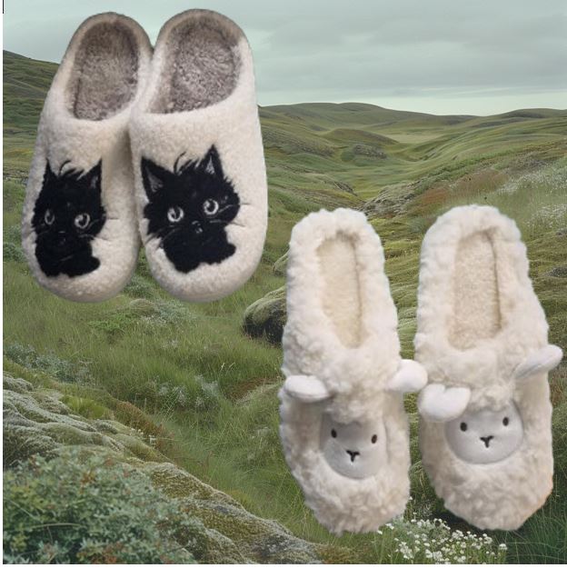 Slippers Slippers